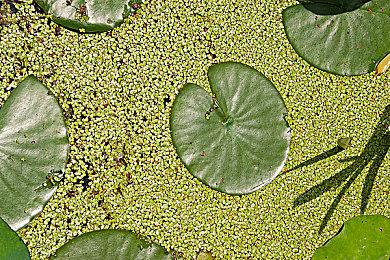 Hangar 13新项目取消开发后并不会进行裁员行动