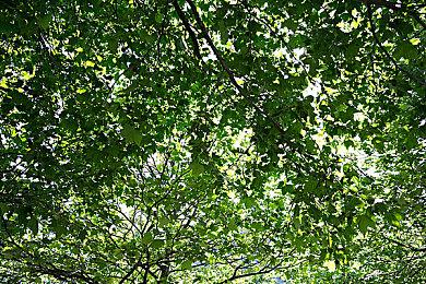 《Old School》steam页面上线 3D空间学校生活模拟器